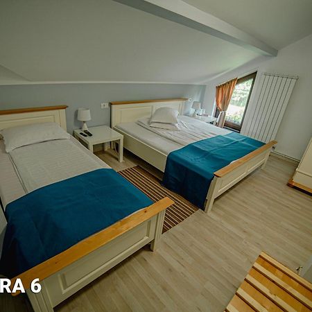 Pensiunea Arc Bucovina Vama  Rom bilde
